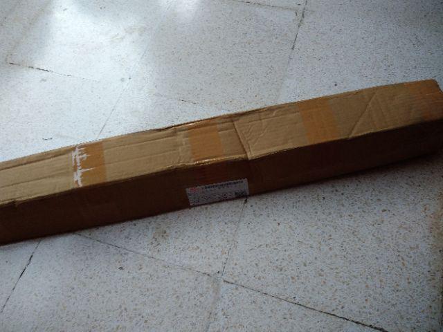 Tanaman Belimbing Madu / Dewi (buy 1 Get 1)