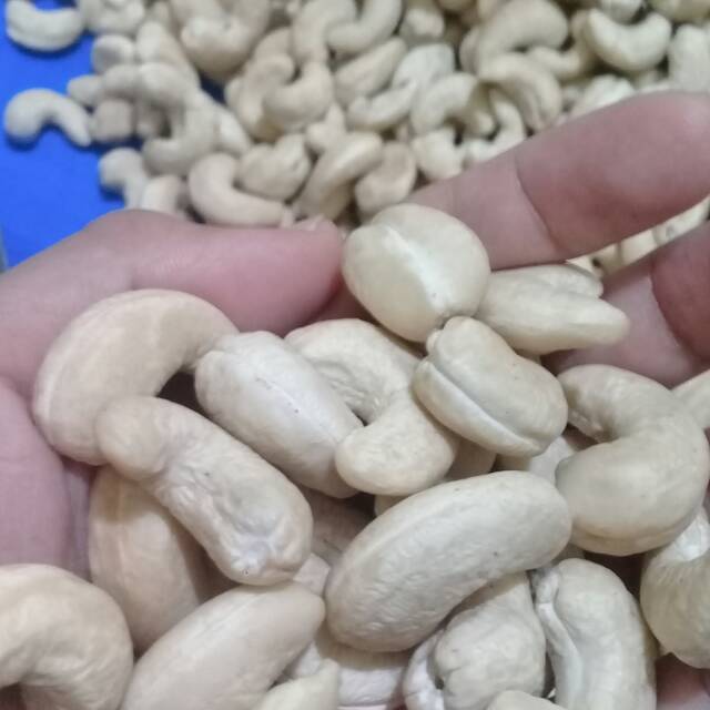 

Mede jumbo sulawesi mentah 1kg