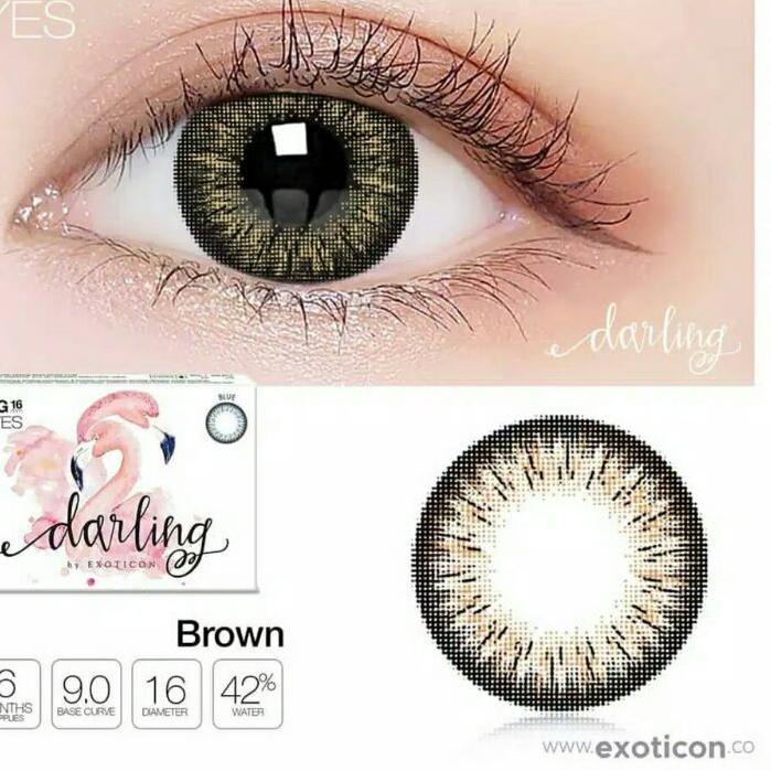 ざ SOFTLENS DARLING BROWN MINUS -0.50 S/D -6.00 ㊢