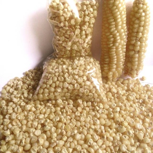 

1 kg jagung putih biji jagung