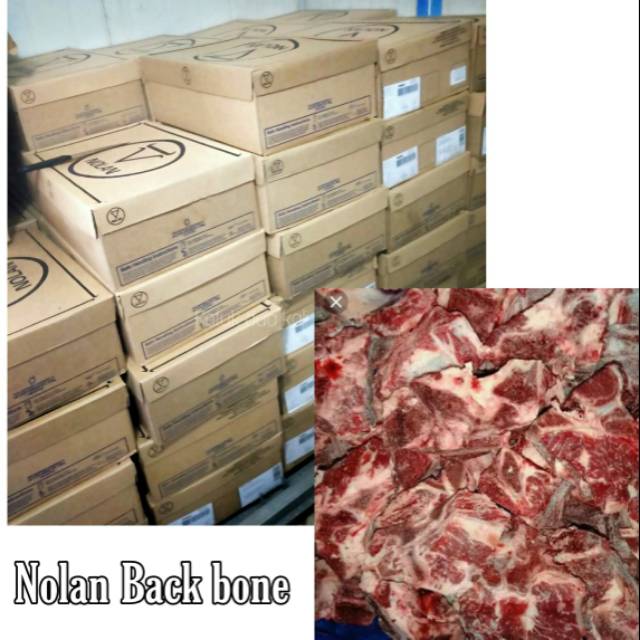 

Tulangan nolan