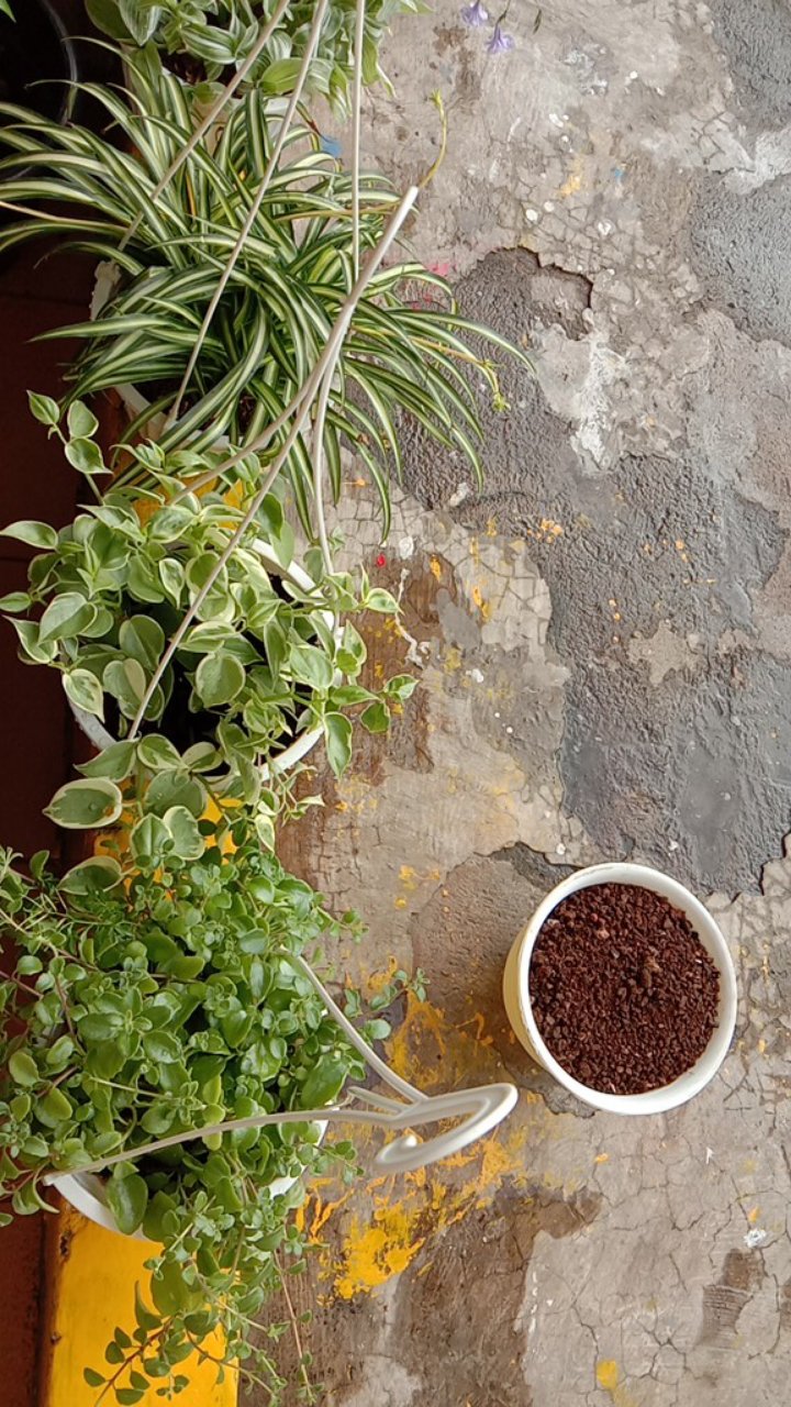 Hose Nozzle Semprotan Selang Air Tembak 7 In 1