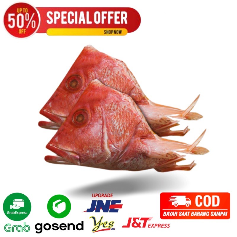 

kepala kakap merah 1 kg ikan kakap merah fresh segar bandung