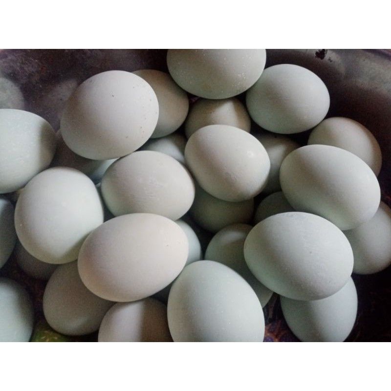 

telor asin khas brebes