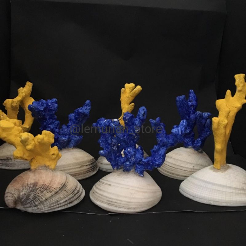 BATU KARANG LAUT ASLI// aquarium/ aquascape/ corallaut/batu/laut/terumbu karang/deadrock/premium