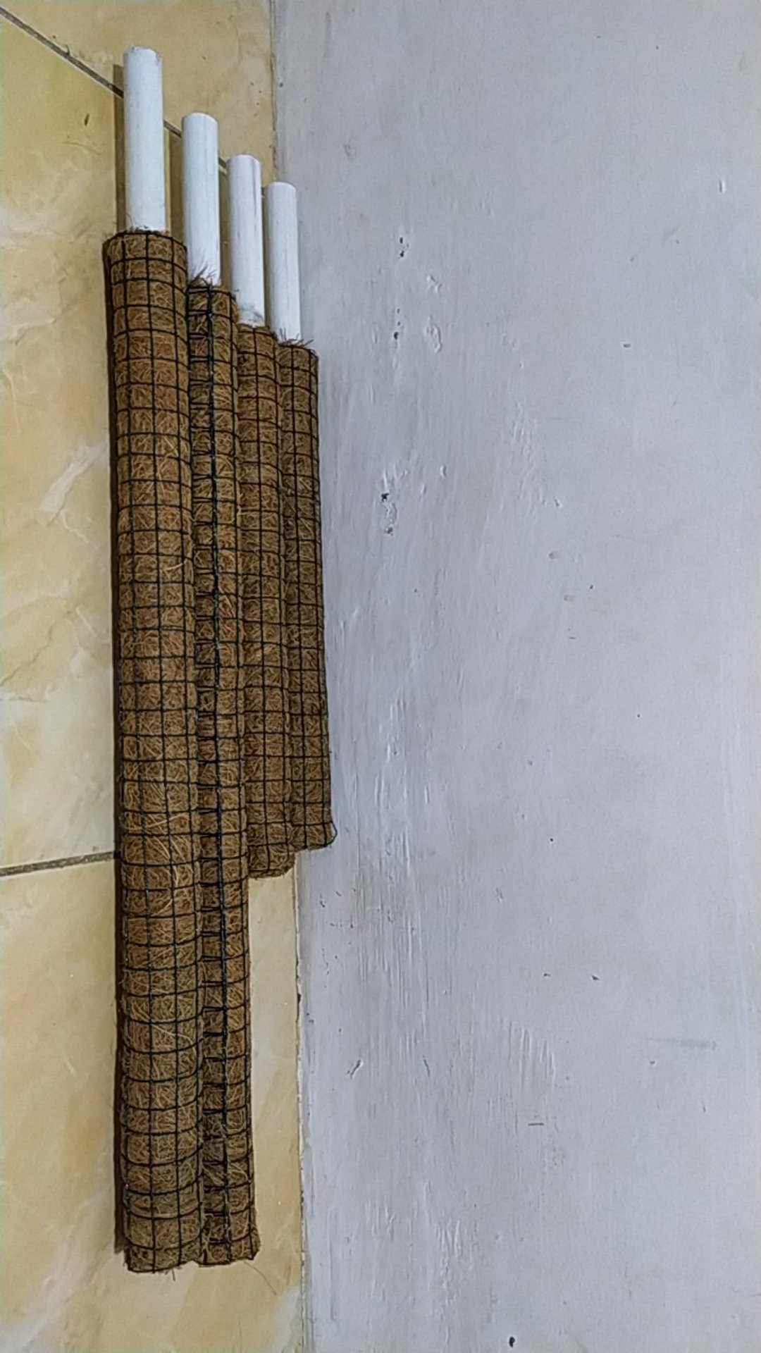 Turus Sabut Kelapa / Turus Penyangga Tanaman Rambat / Turus Tanaman Monstera / Turus Janda Bolong