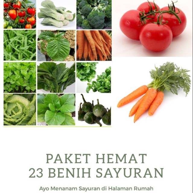 Benih Sayuran "Paket Hemat"