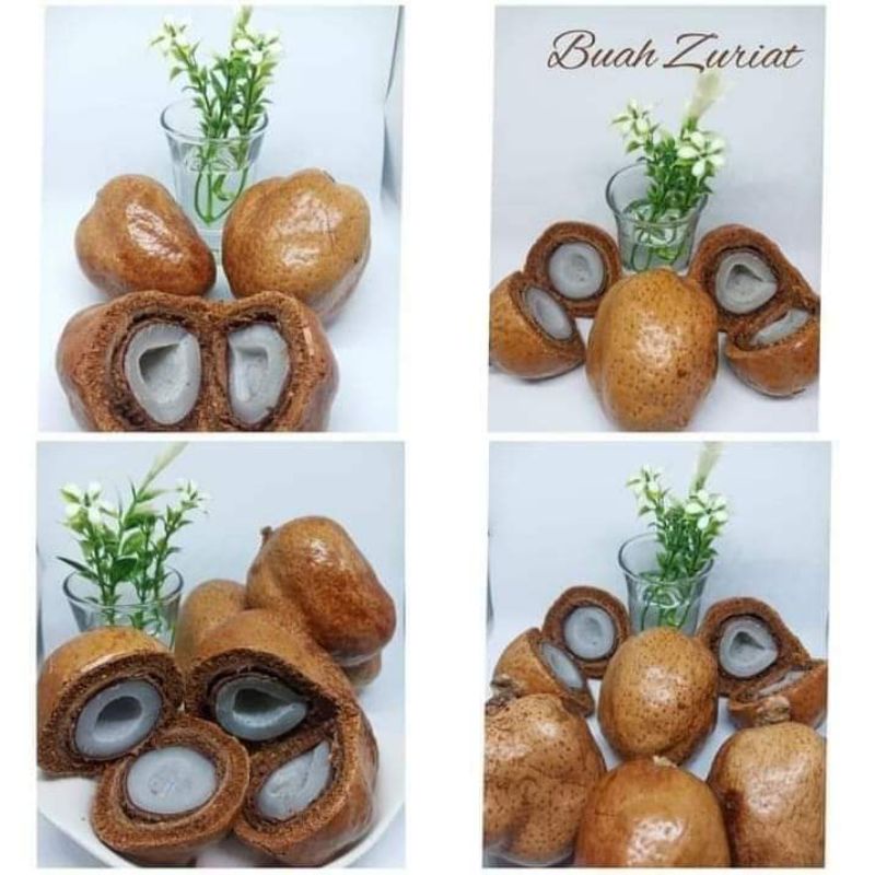 

BUAH ZURIAT DOUM UNTUK PROMIL 365 GR