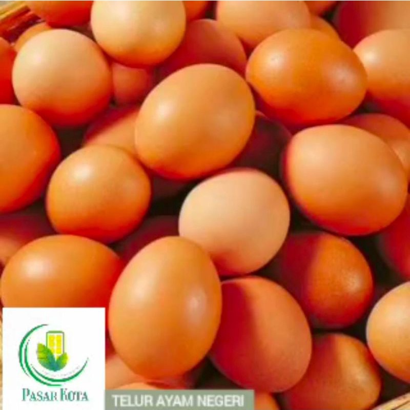 

telur ayam negeri- (PRO- TAN)