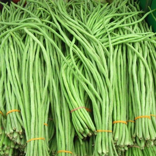 

PROMO TERMURAH Kacang Panjang per kg