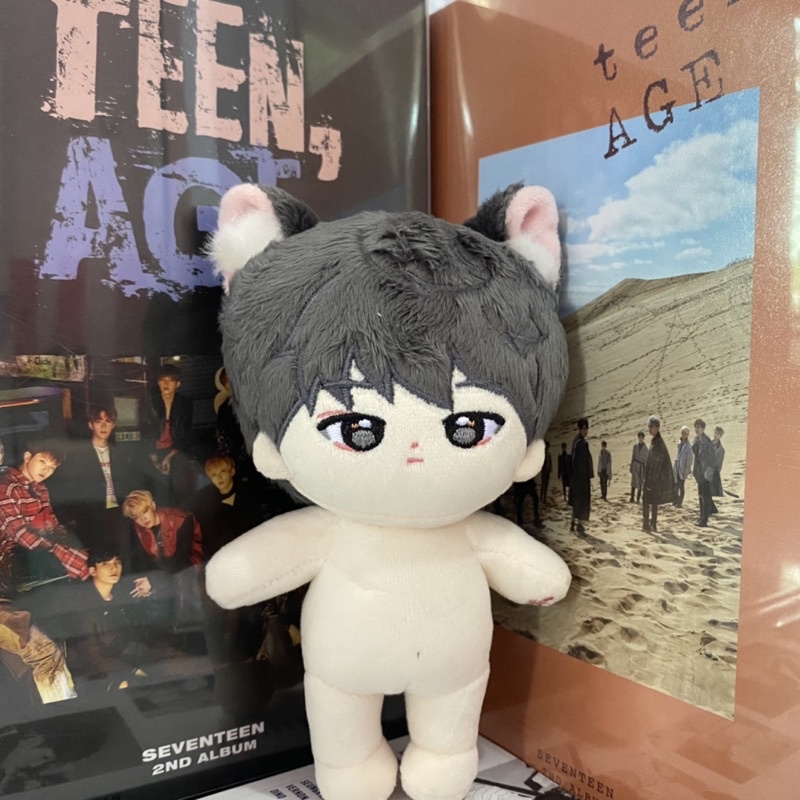 SEVENTEEN Wonwoo Woojjang 15cm Doll