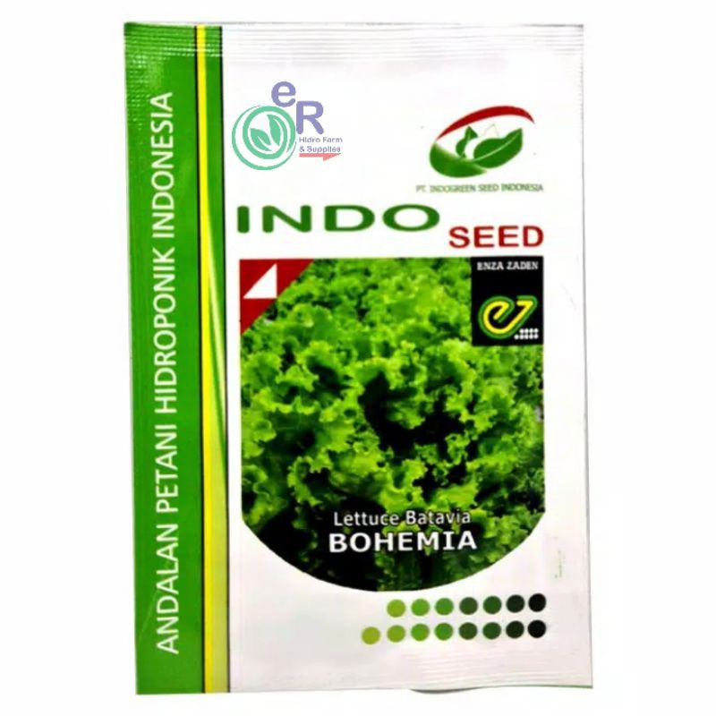 Benih Selada bohemia Lettuce Batavia Isi 5 Gram Original Packing PT Indogreen - Enza Zaden