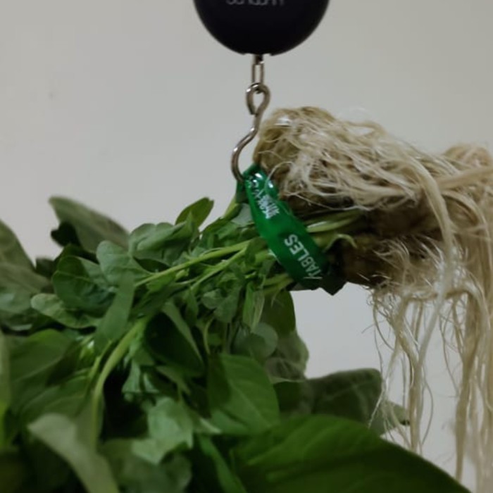 

Bayam Hidroponik 500gr | Organiku | BEBAS PESTISIDA