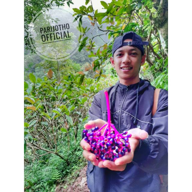 

Parijotho Muria 15k