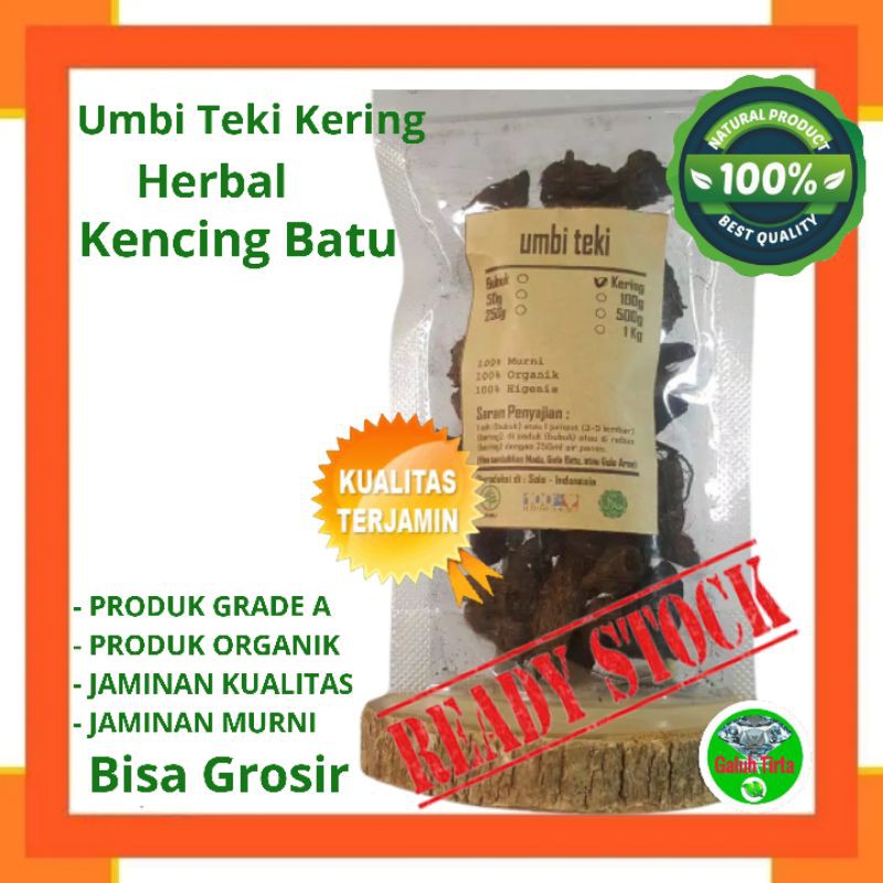 

UMBI RUMPUT TEKI KERING 250 GRAM - Cyperus Rotundus - MURNI - JSR Rempah Herbal penyembuhan Luka