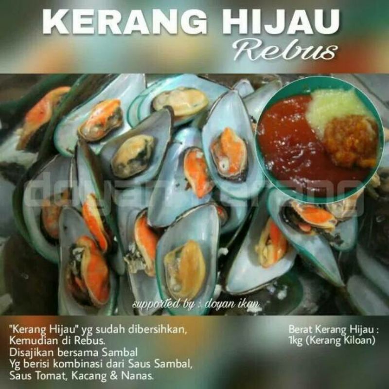 

kerang hijau rebus 1kg