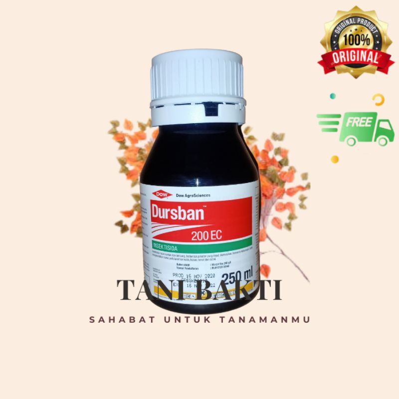 Insektisida Dursban 200EC, 250ml