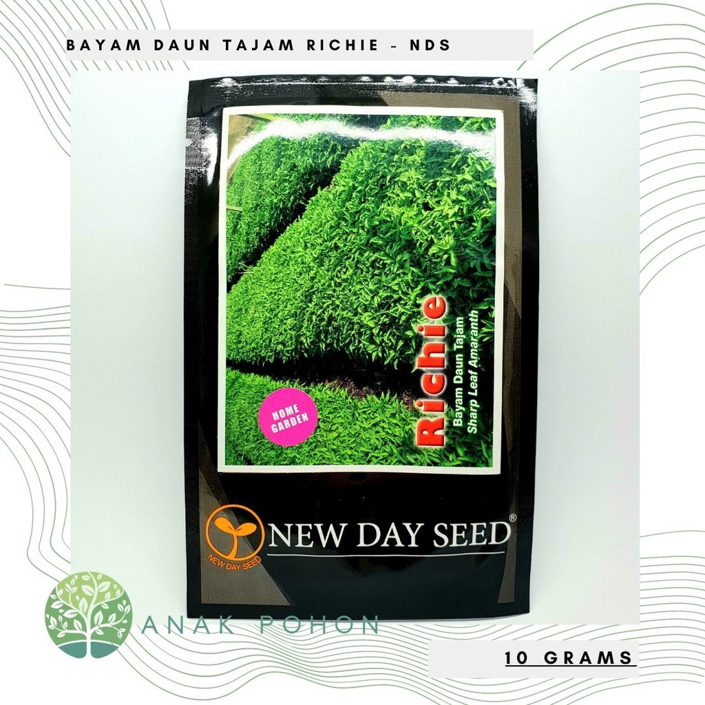 ( 1 PACK ) Benih Bayam Daun Tajam Richie - NEW DAY SEED