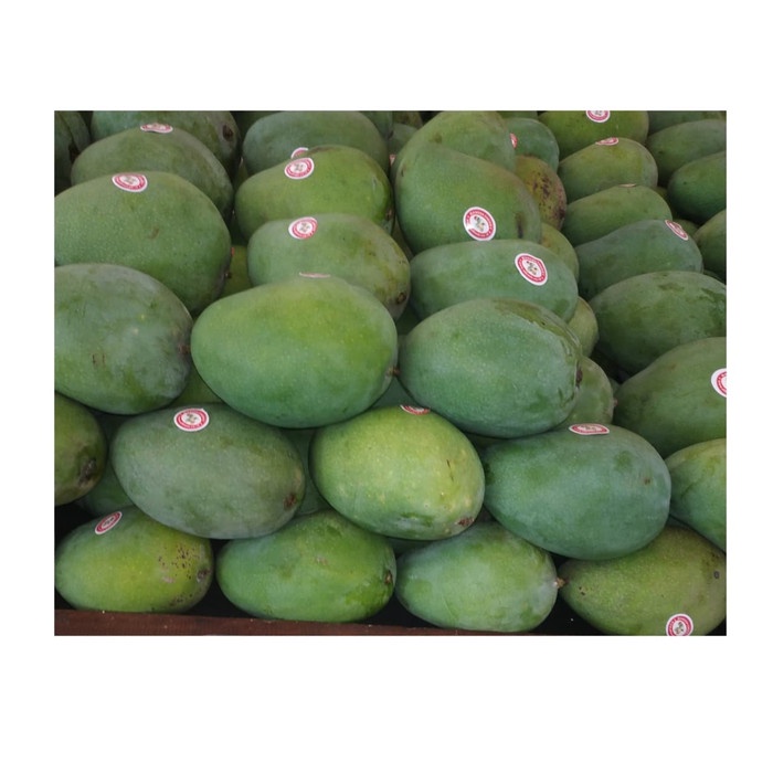 

Mangga Harum Manis Chery /Kg