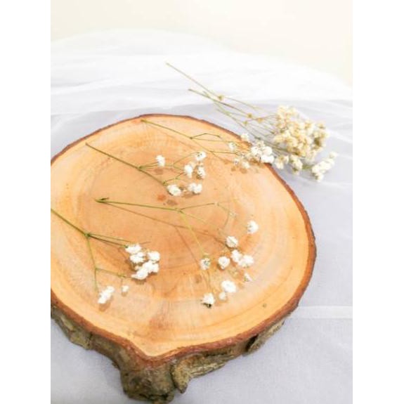 

[ A - H ] Baby Breath Kering natural & colored / bunga kering