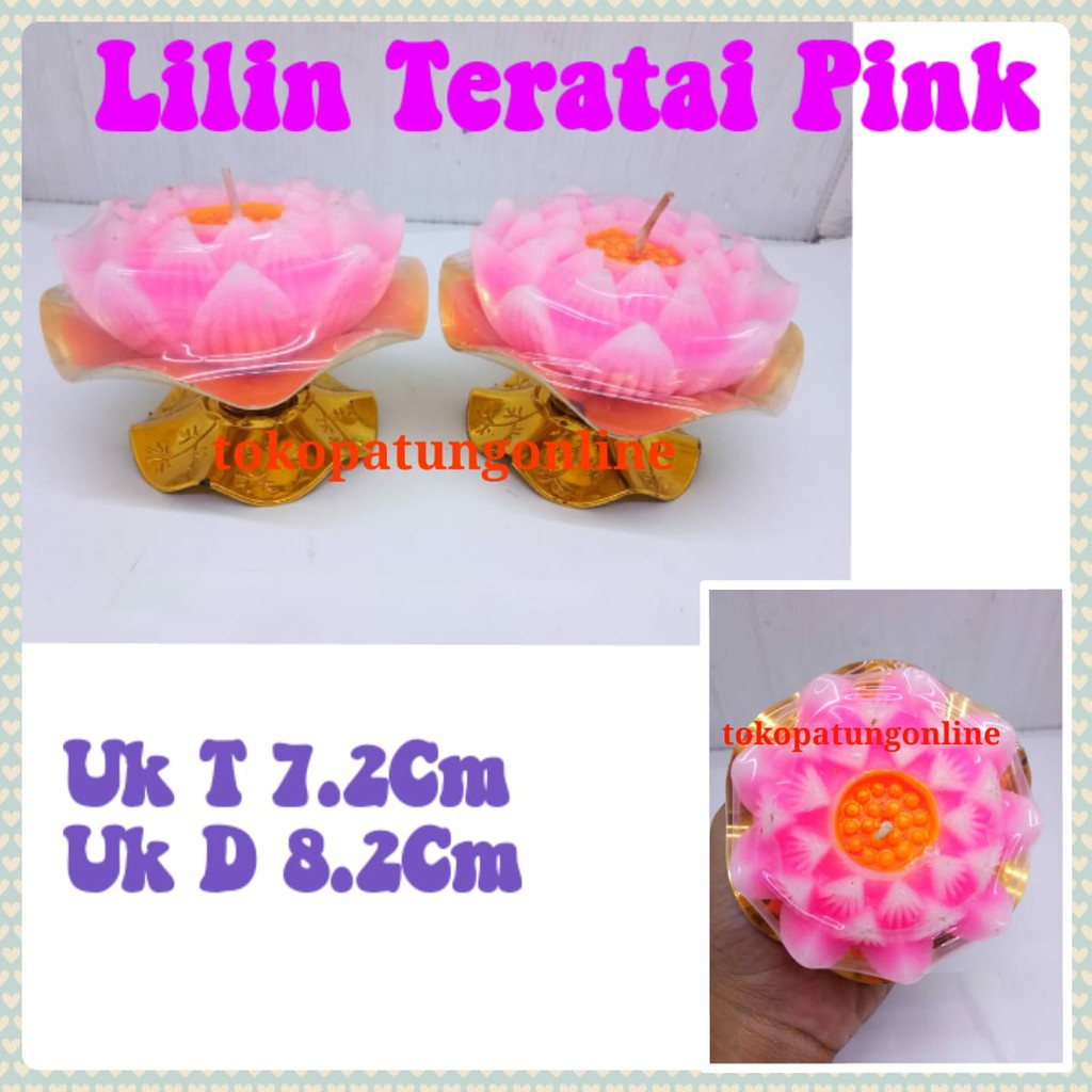 Lillin Teratai Ukuran Besar Pink