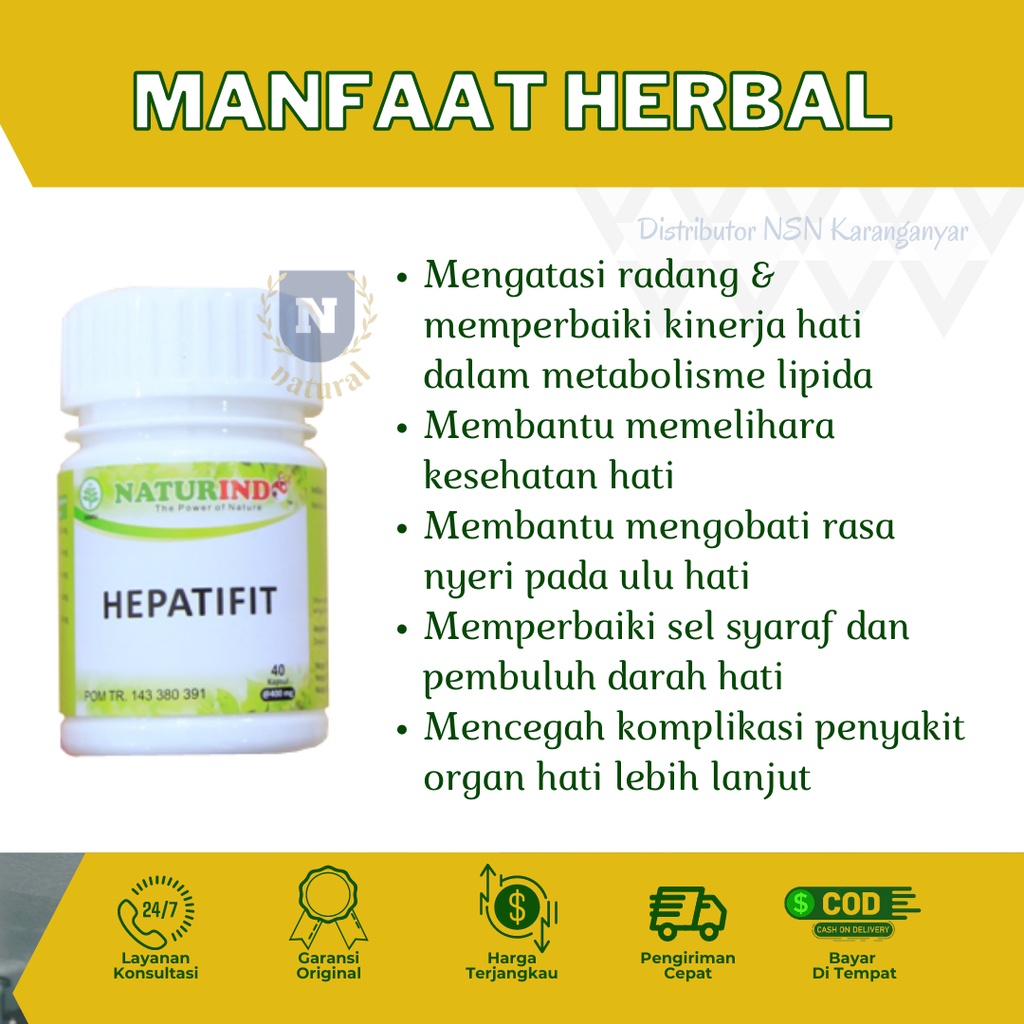 Obat Liver Mata Kuning Kesehatan Organ Hati Hepatitis Obat Hepatitis B Ampuh Hepatifit Obat herbal Liver Bengkak Obat Gatal Biduran Naturindofit-1