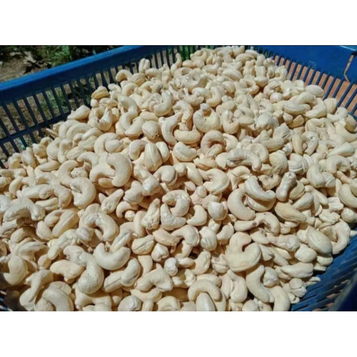 250 gram Kacang mete/mede/cashewnut MENTAH utuh