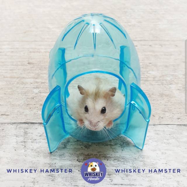 RUMAH PASIR HAMSTER BENTUK ROCKET