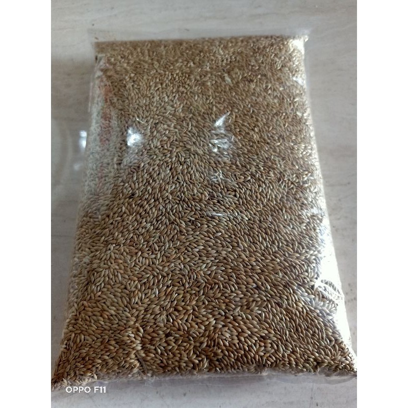 Kenari Seed Merk Vita 1 Kg