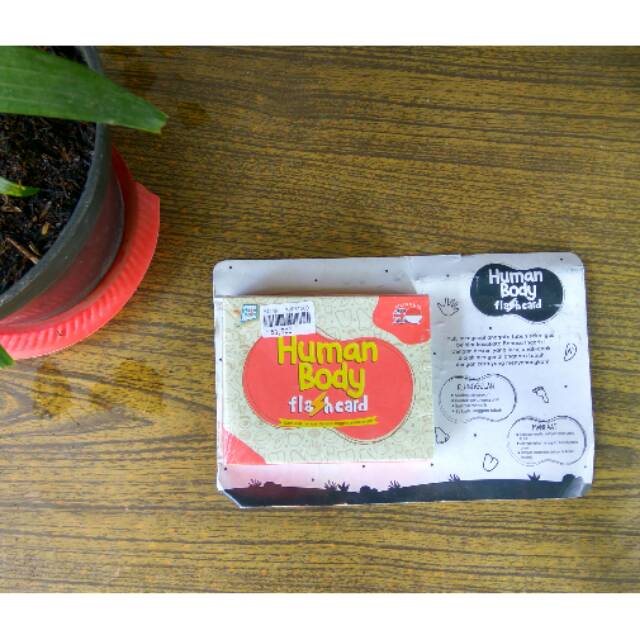 Human body flashcard