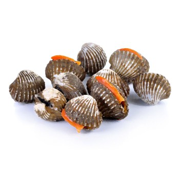 

Kerang Dara / 500gr #Ikan#Segar#Online#Bandung#Cimahi