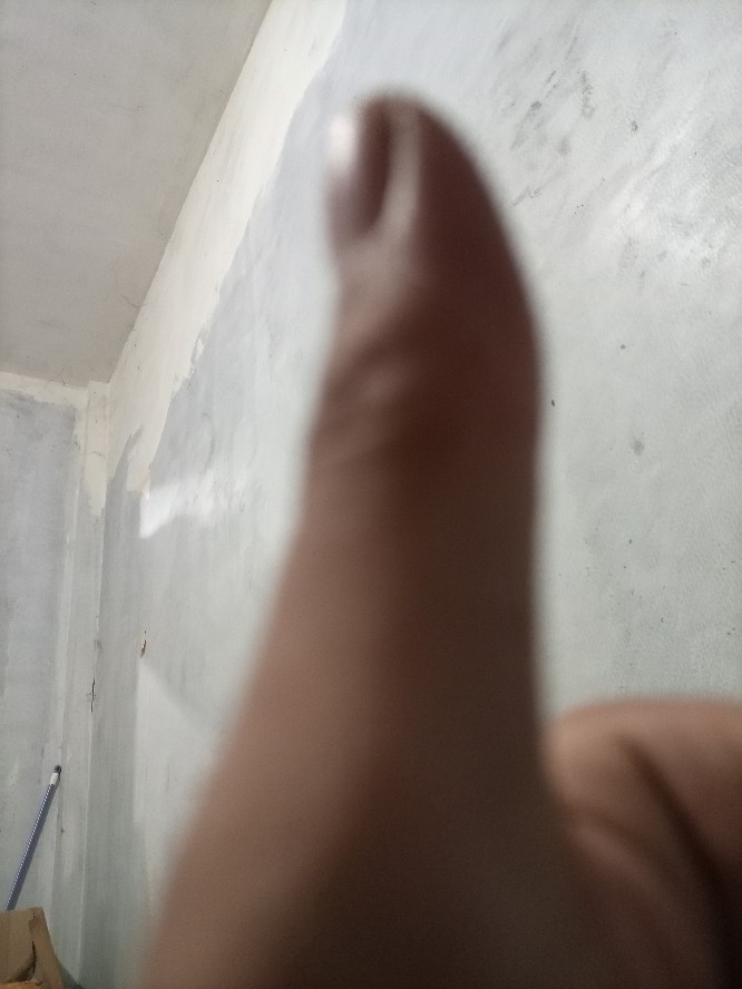 Maspion Panda Aster Stirfry Wajan Penggorengan 26cm + Tempura Rack Dan Spatula