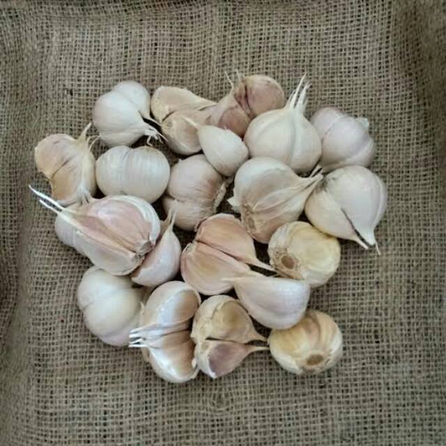 

BAWANG PUTIH KATING | BUMBU DAPUR | SAYURAN SEGAR