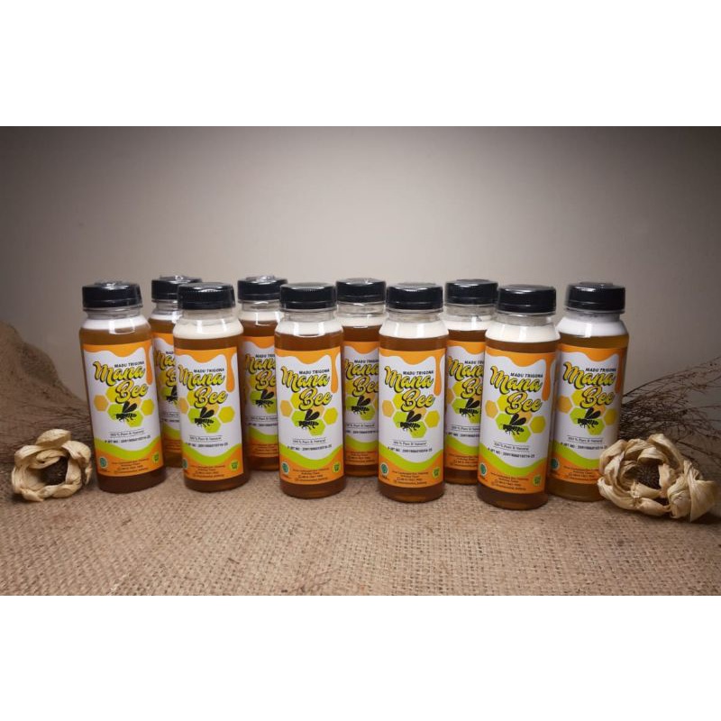 

Madu Asli - Madu Alami / Madu Trigona - Madu Klanceng - Madu Kelulut 250Ml