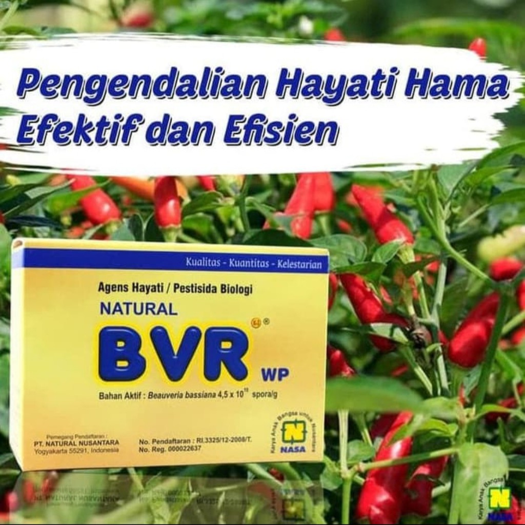 Natural BVR Original Nasa - Pengendali Hama - Pembunuh Hama - Obat Hama Murah Terbaik Terlaris