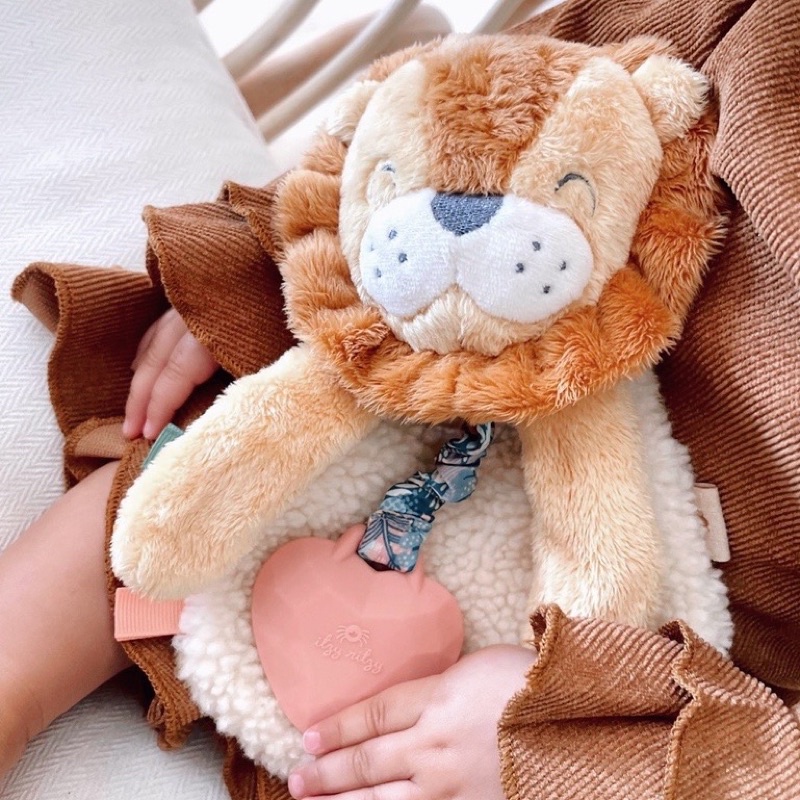 Itzy Ritzy - Lovey Plush and Teether Toy