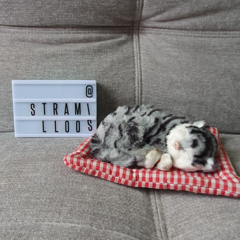 BONEKA LOOK REAL CAT/KUCING SEPERTI ASLI