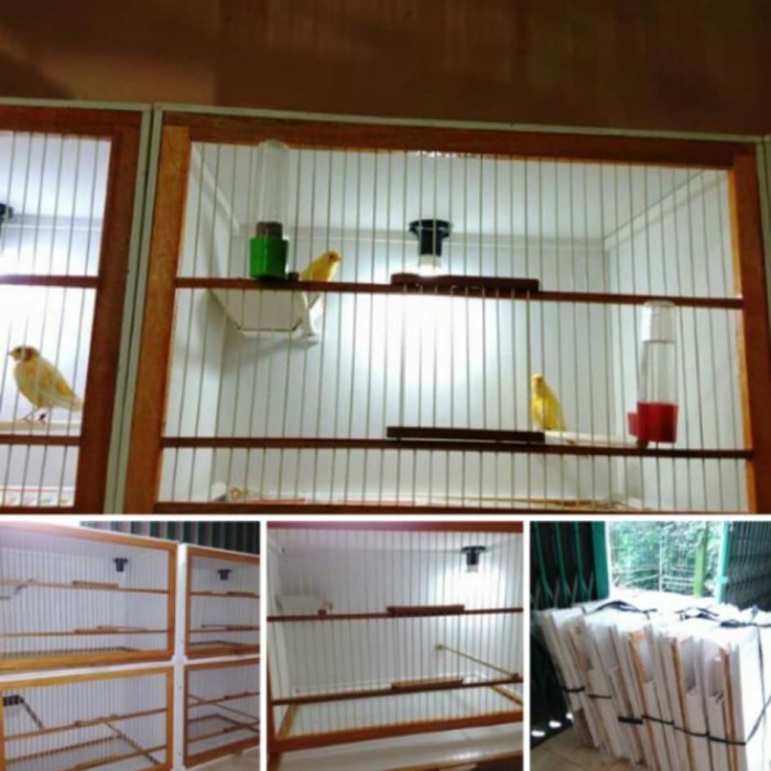 Box Kandang Breeding, Ternak Kenari Bongkar Pasang 081