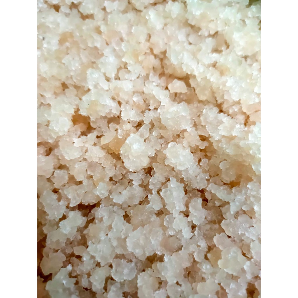 Bibit Teratai Salju kualitas super herbal 500 g