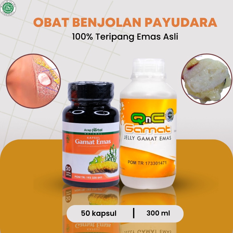 QnC Jelly Gamat - Obat benjolan payudara, Obat Kanker payudara, Obat Tumor payudara, penghilang benj