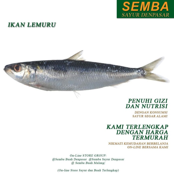 

IKAN LEMURU 1KG seafood DENPASAR BALI sayuran sembako bumbu lauk food bahan makanan murah fresh