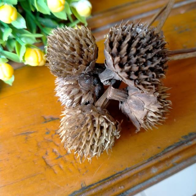 Bunga maringgold bahan mahar nikah rustic Hiasan Mahar / Aksesoris Mahar Nikah/ Mahar Rustic
