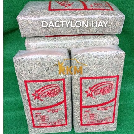 DACTYLON / BERMUDA HAY Pakan Kelinci & Marmut Hay Lokal Kemasan 2 Kg
