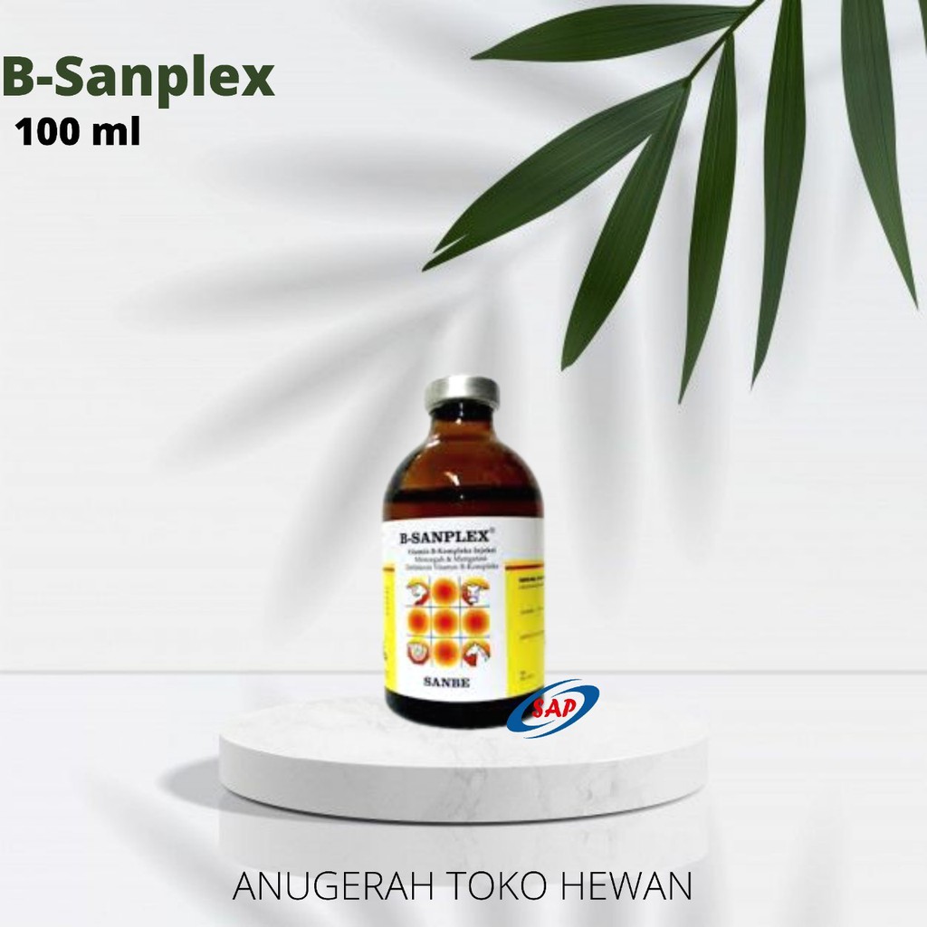 B SANPLEX INJEKSI 100 ml - SANBE - Vitamin B Kompleks Hewan