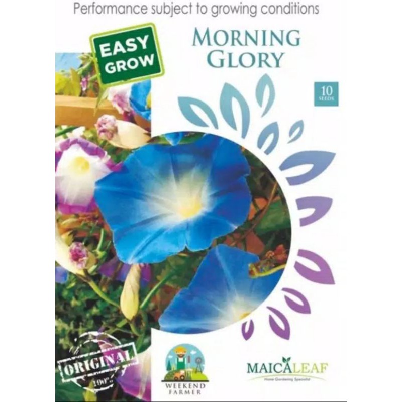

1 Pack Bunga Morning Glory