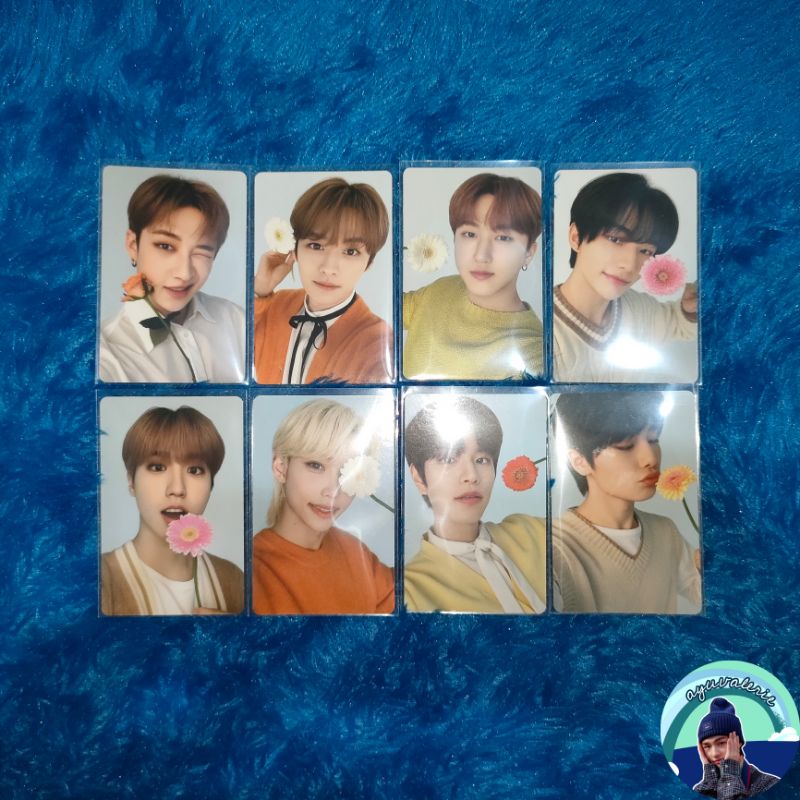 PC Nacific R2 R3 R10 R11 OT8 Set Stray Kids Bunga Bang Chan Lee Know Changbin Hyunjin Han Felix Seun