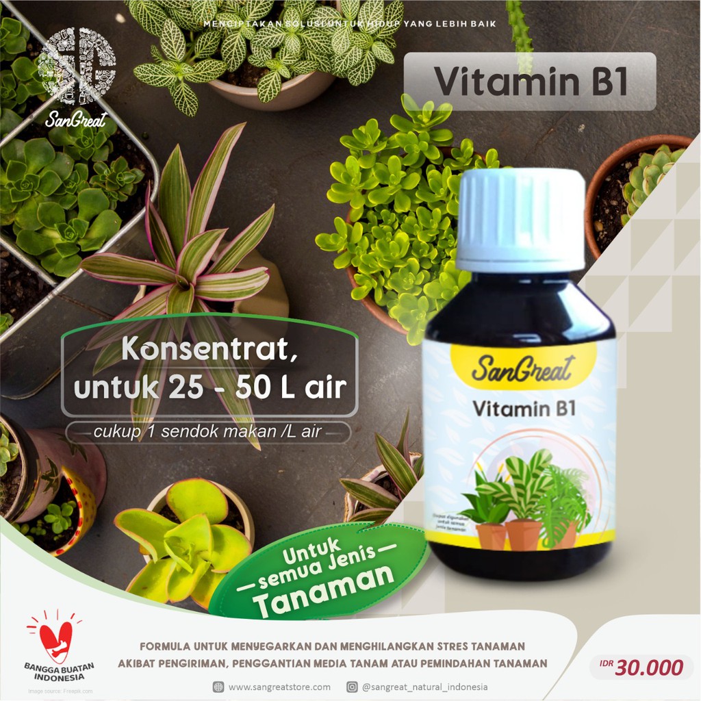 SanGreat Vitamin B1 Tanaman agar tidak stress dan lebih tahan penyakit