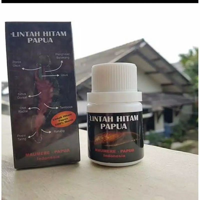 

Lintah Hitam 100% murni