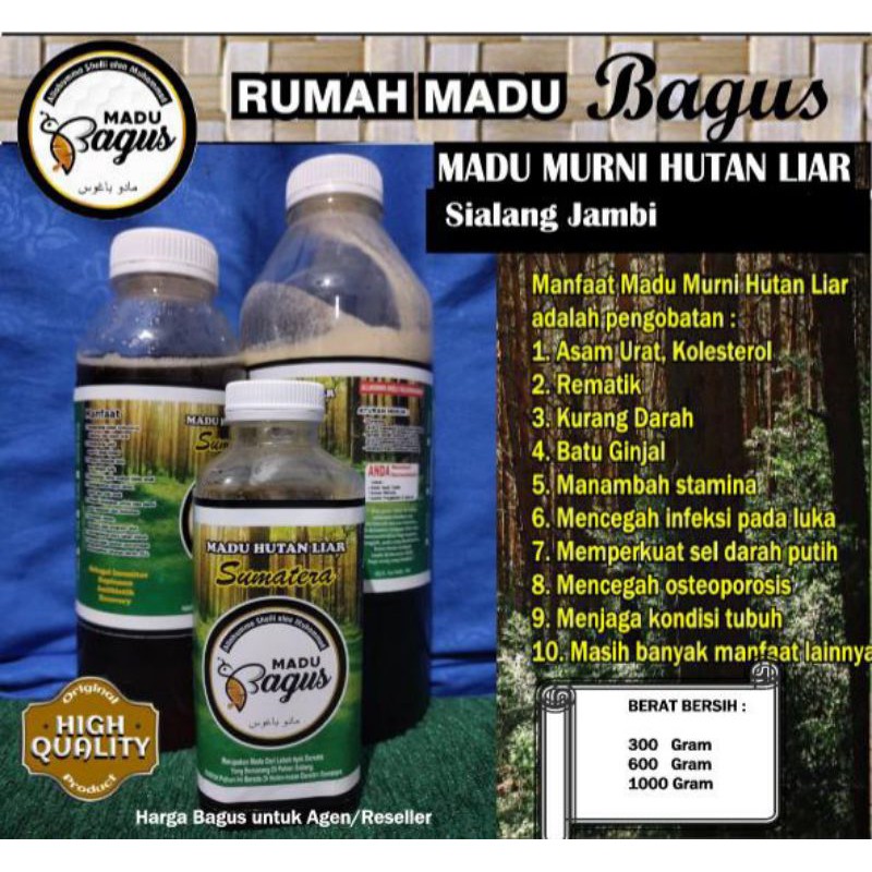 

Madu Murni Hutan Liar Sialang Jambi 1 Kg