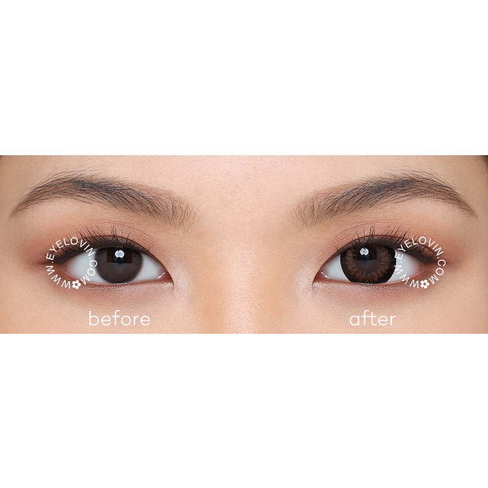 Eyelovin Softlens Mite Clair Pure Moist - Juno Brown